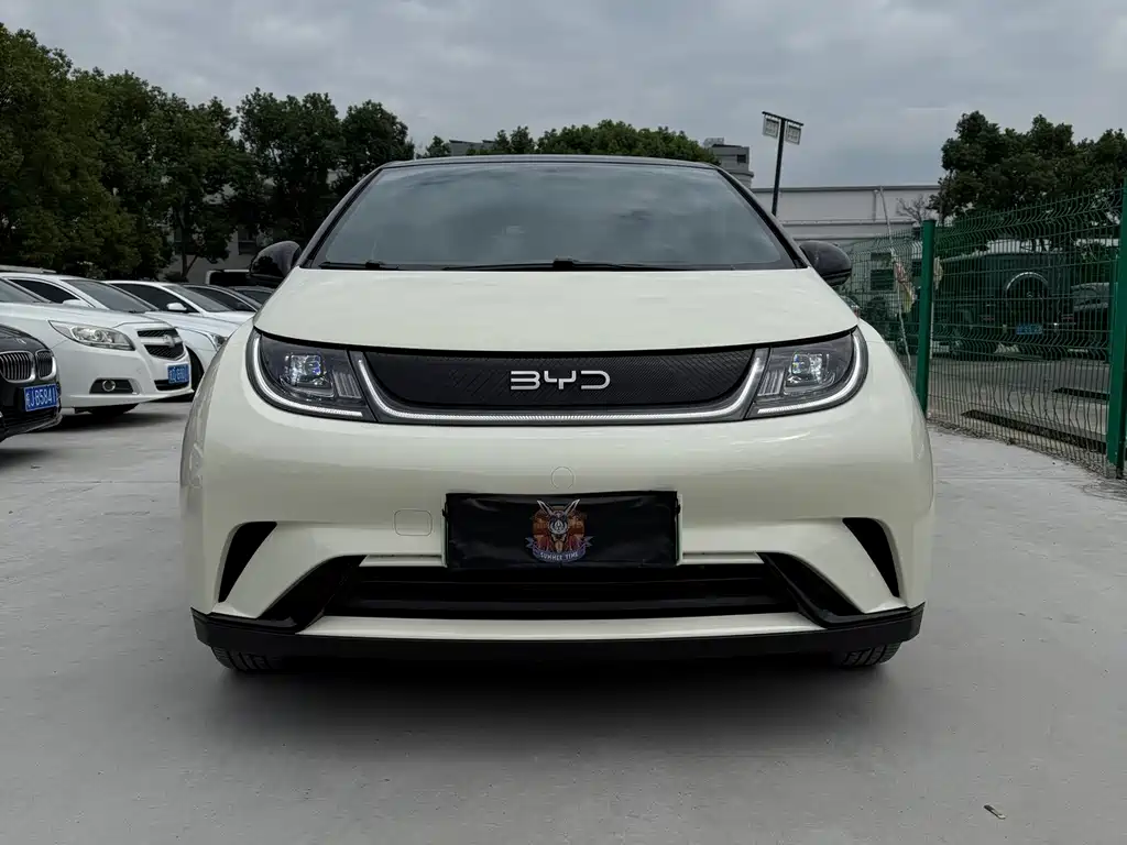 BYD Dolphin — миниатюра 3