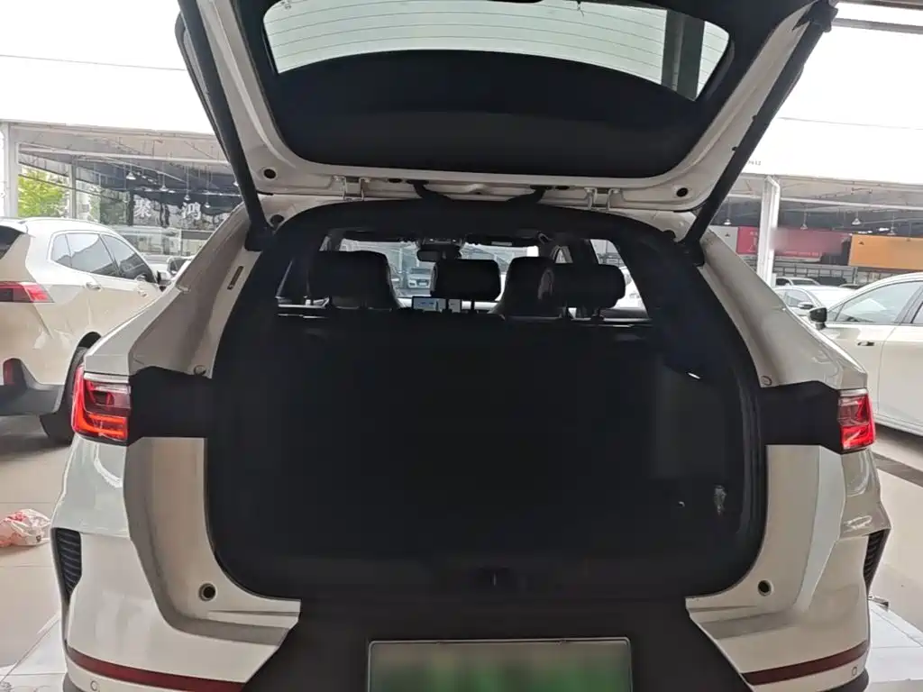 BYD PLUS New Energy — миниатюра 19