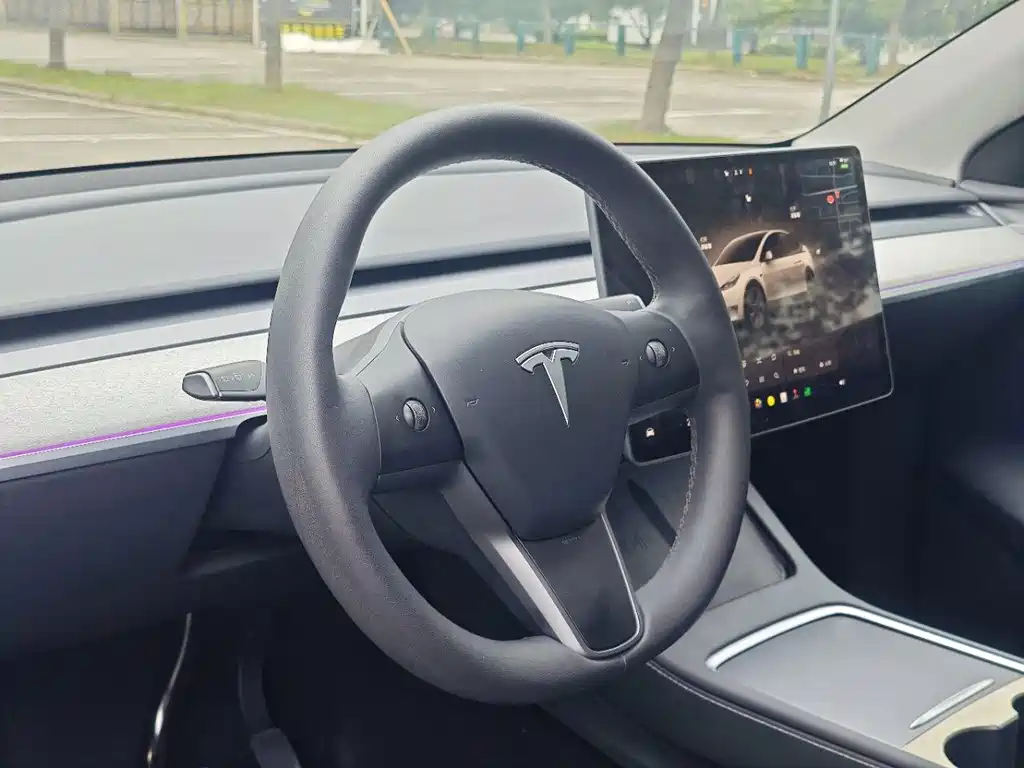 Tesla Model Y — миниатюра 9