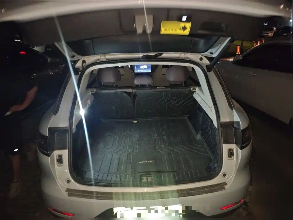Leapmotor Leapmotor C11 — миниатюра 10