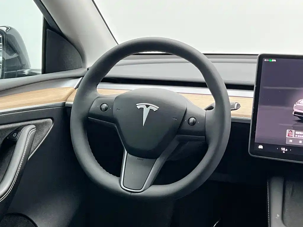 Tesla Model Y — миниатюра 20