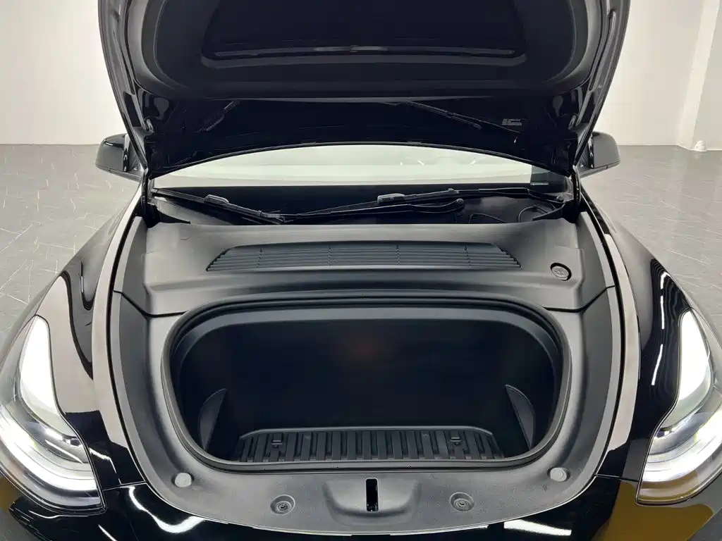 Tesla Model Y — миниатюра 11