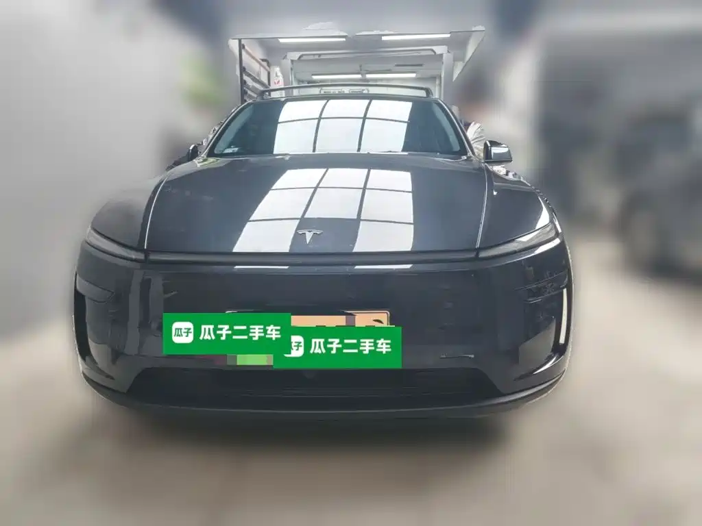 Tesla Model Y — миниатюра 2