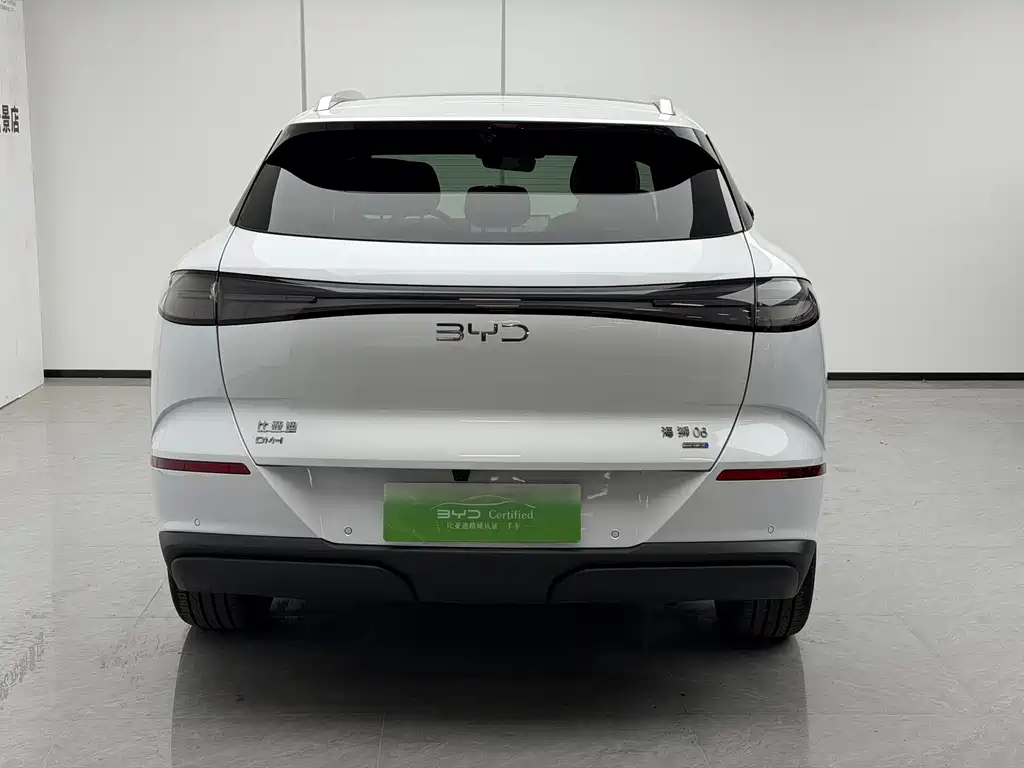 BYD Sealion 06 — миниатюра 4