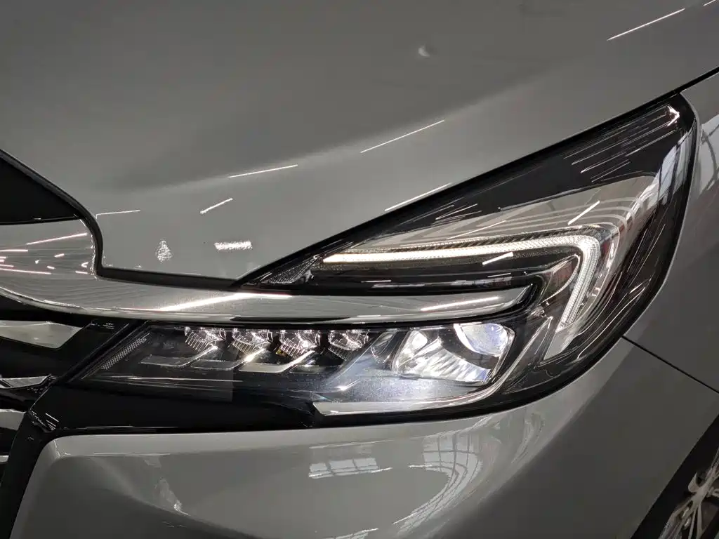 Buick GL8 — миниатюра 25