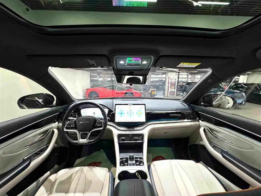 BYD PLUS New Energy — миниатюра 18