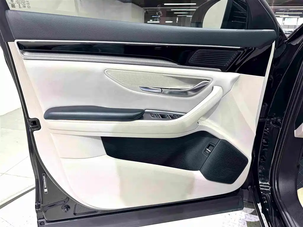 BYD PLUS New Energy — миниатюра 21
