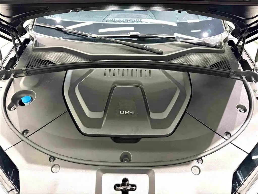BYD PLUS New Energy — миниатюра 34