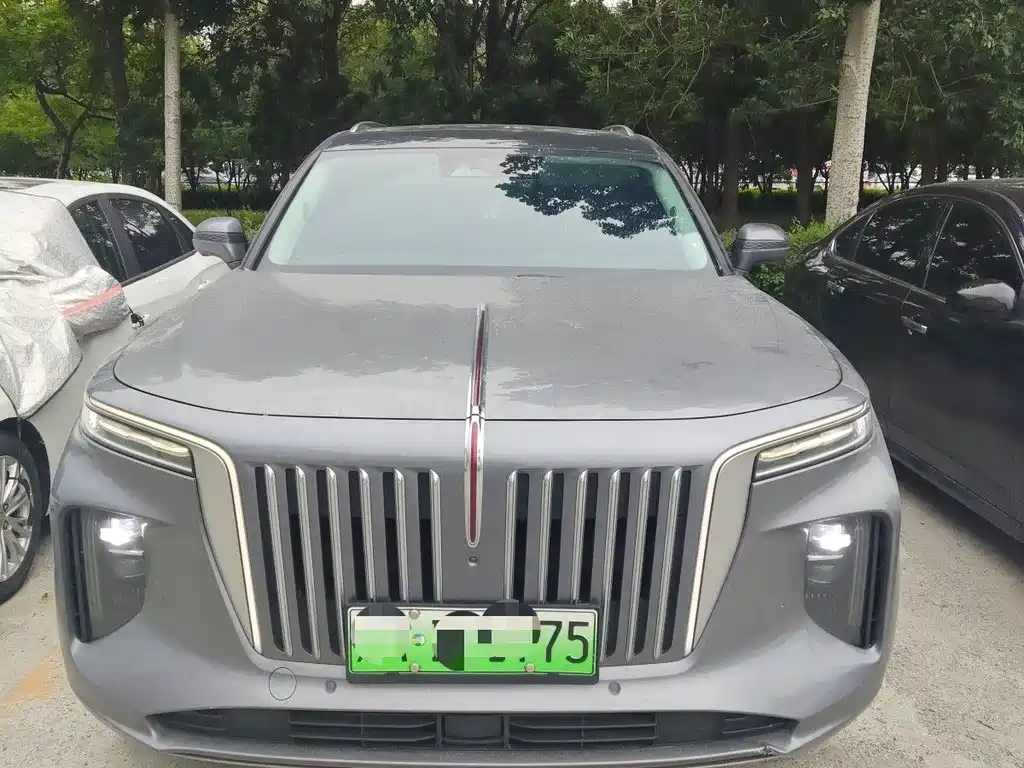 Hongqi E-HS9 2021 510km мест