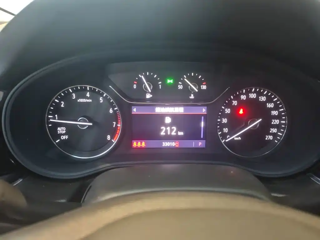 Buick Regal — миниатюра 12