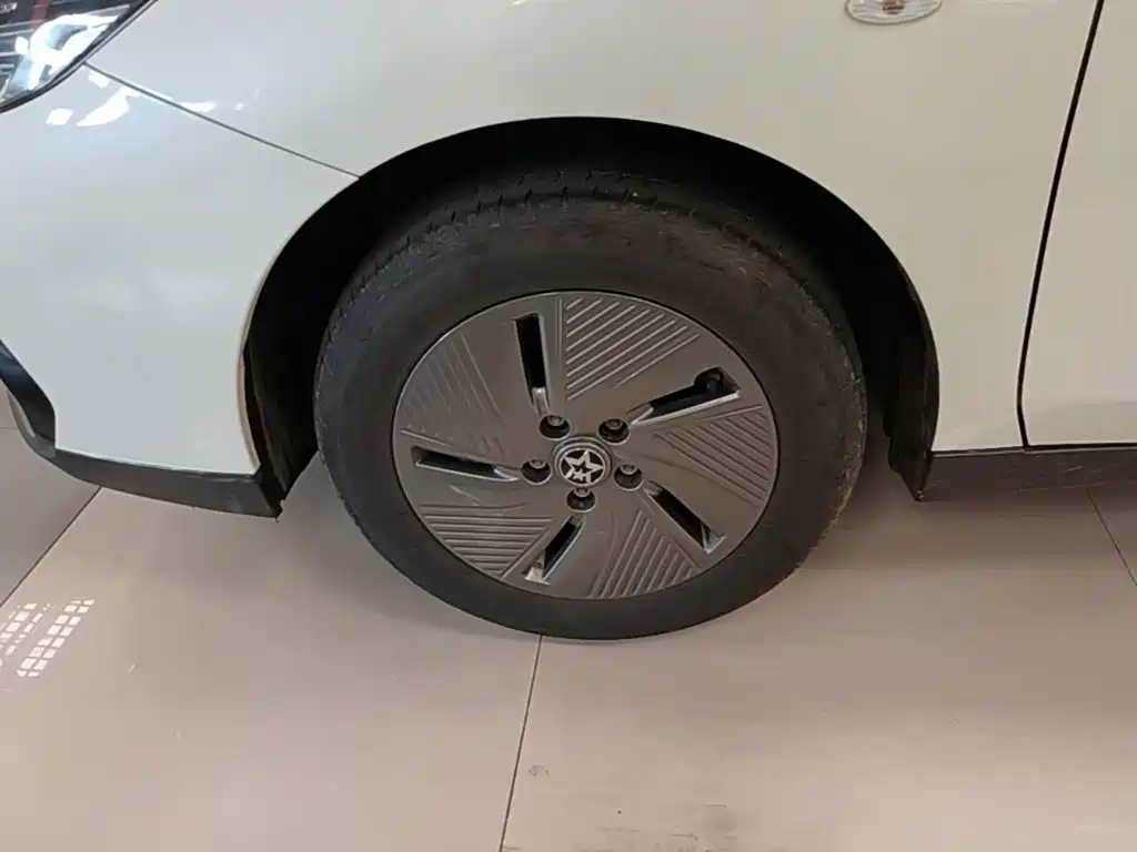 Venucia D60 EV — миниатюра 25