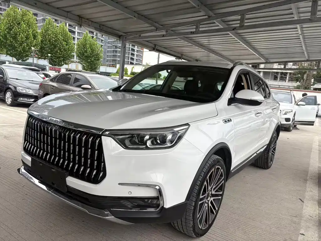 Leopaard Mattu 2019