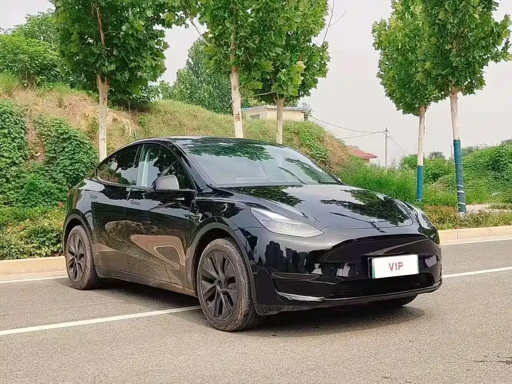 Tesla Model Y — миниатюра 3