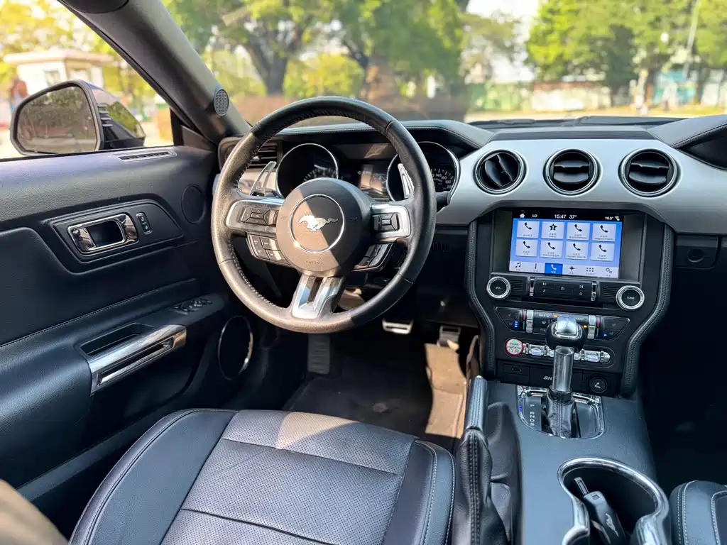 Ford Mustang — миниатюра 12