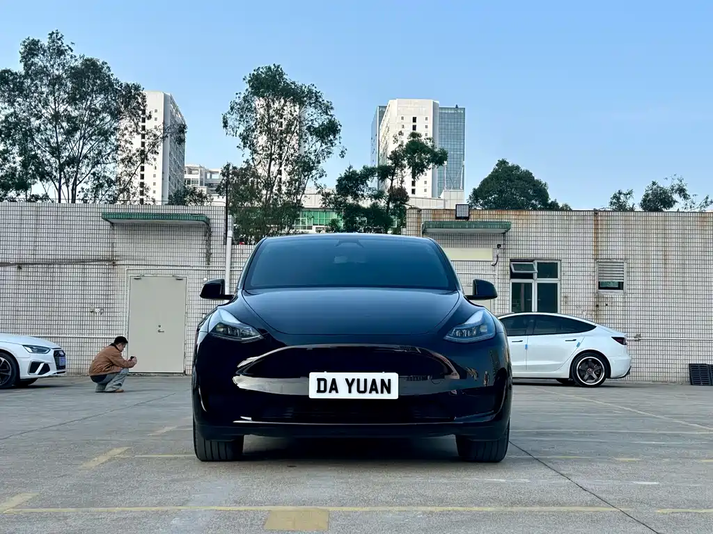 Tesla Model Y — миниатюра 2
