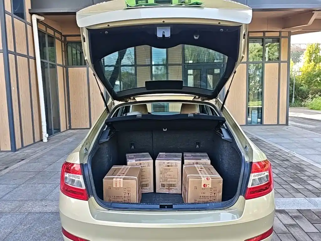 Skoda Octavia — миниатюра 19
