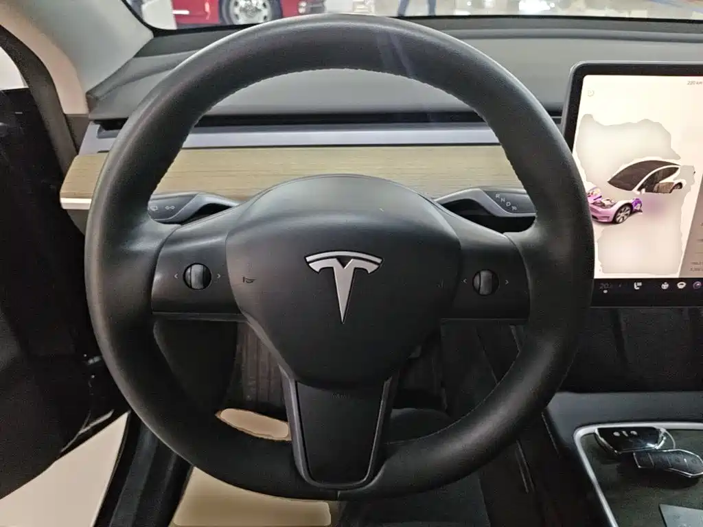 Tesla Model Y — миниатюра 11