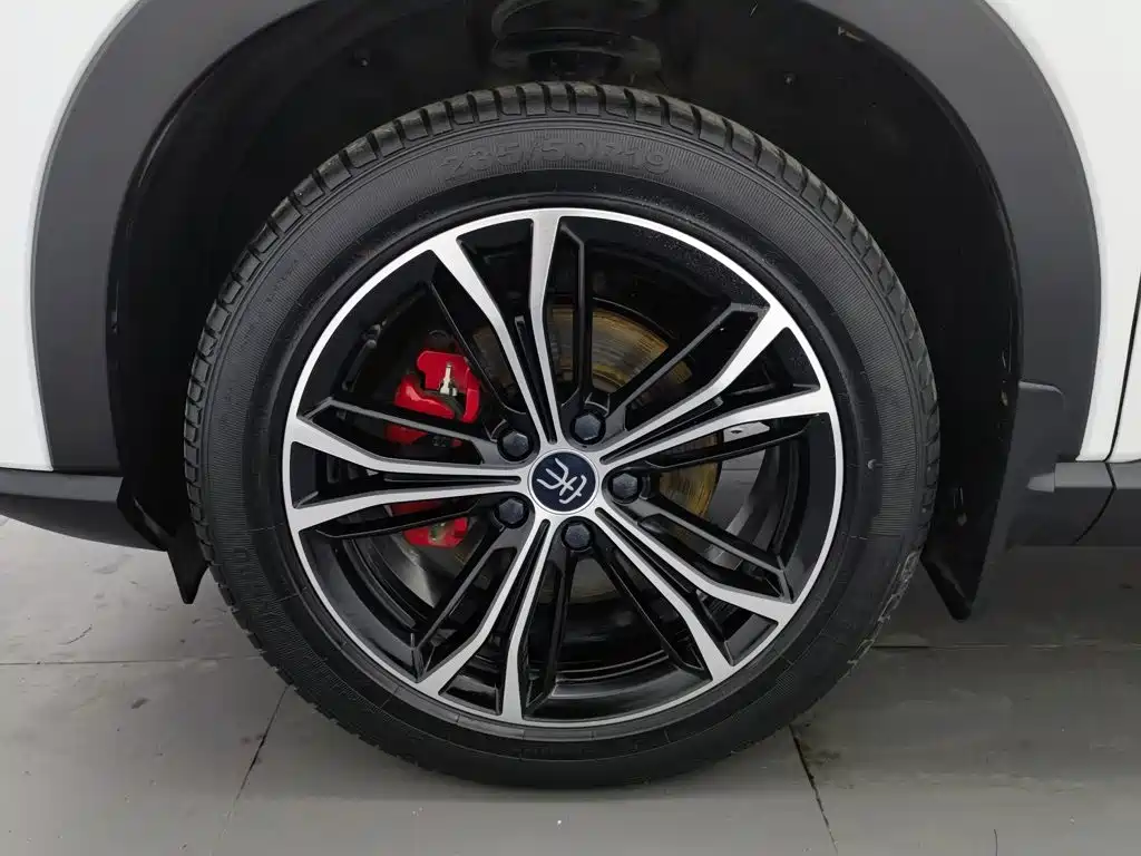 BYD PLUS — миниатюра 17