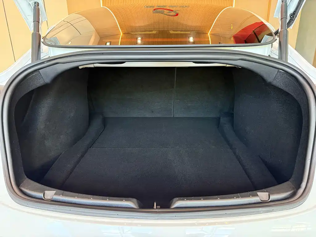 Tesla Model 3 — миниатюра 13