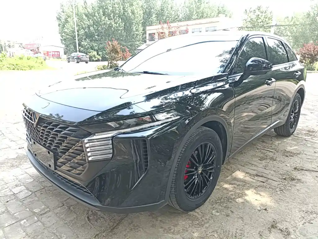 Venucia Grand V 2023 260T Black Horse Edition Pro
