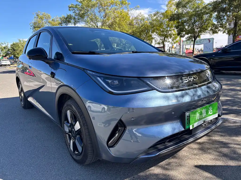 BYD Dolphin — миниатюра 14