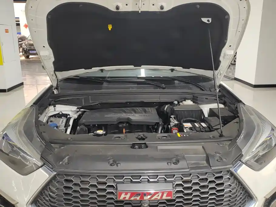 Haval H6 Coupe — миниатюра 10