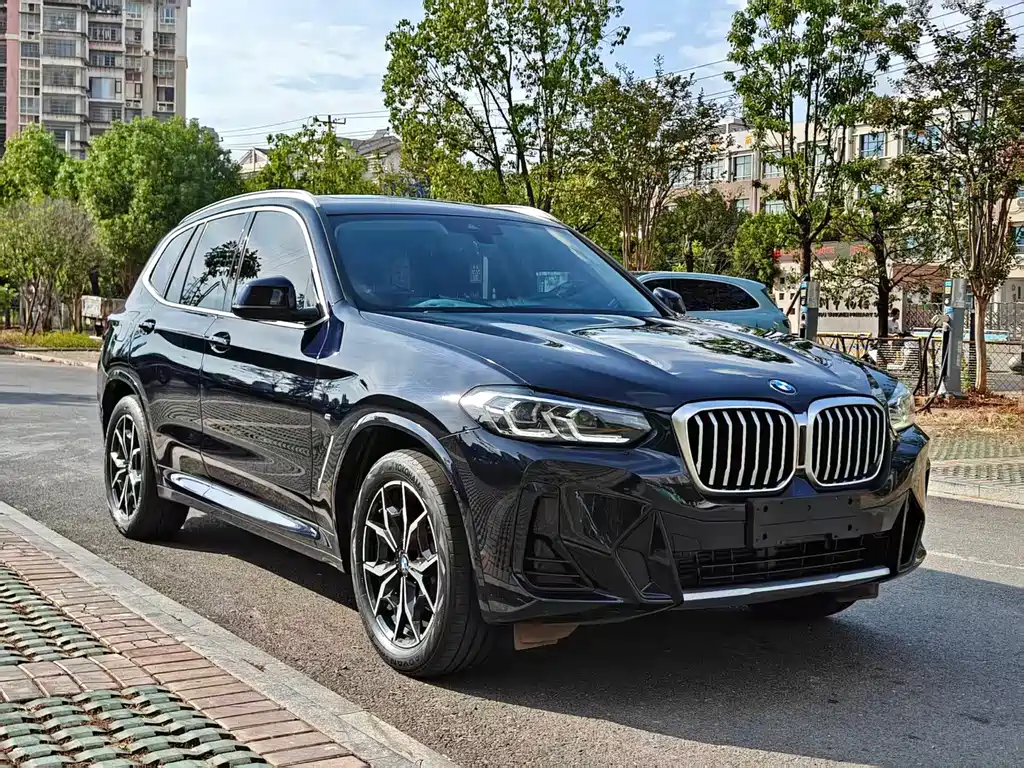 BMW X3 — миниатюра 3