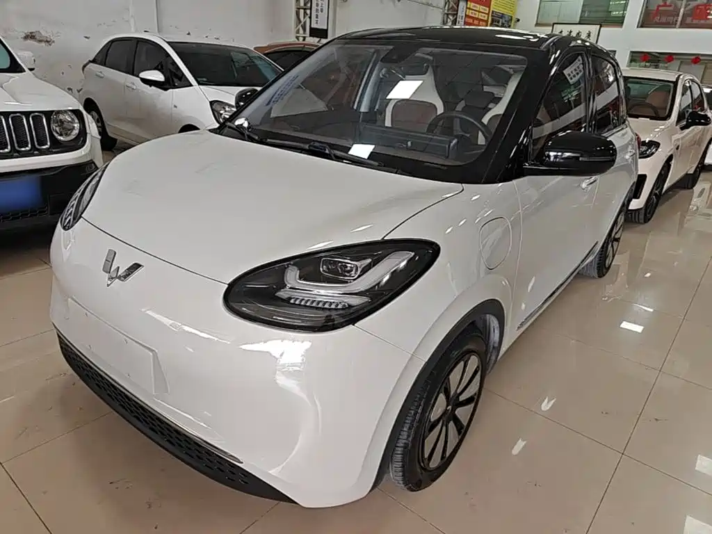 Wuling Binguo 2023 333km Delight