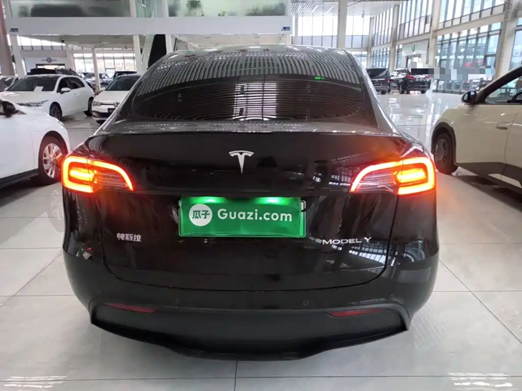 Tesla Model Y — миниатюра 6