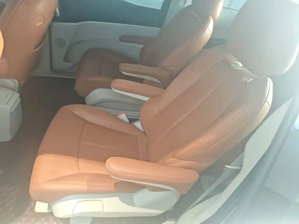 Buick GL8 — миниатюра 17