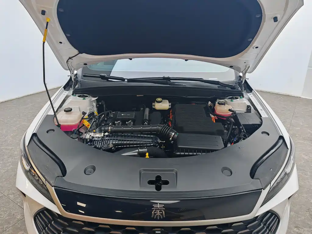 BYD Qin PLUS — миниатюра 12