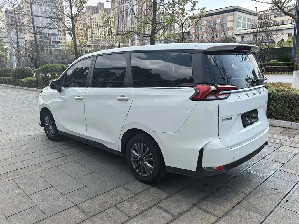 SAIC MAXUS CHASE G50