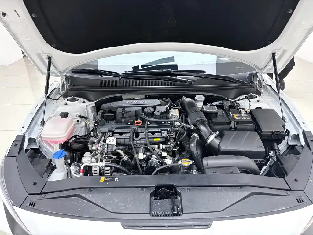 Hyundai Fista — миниатюра 6