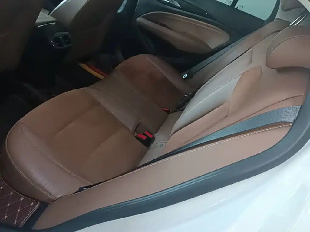 Buick Regal — миниатюра 17