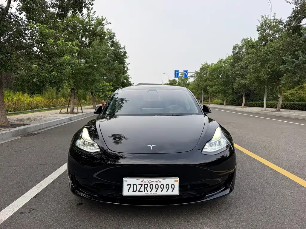 Tesla Model 3 — миниатюра 2