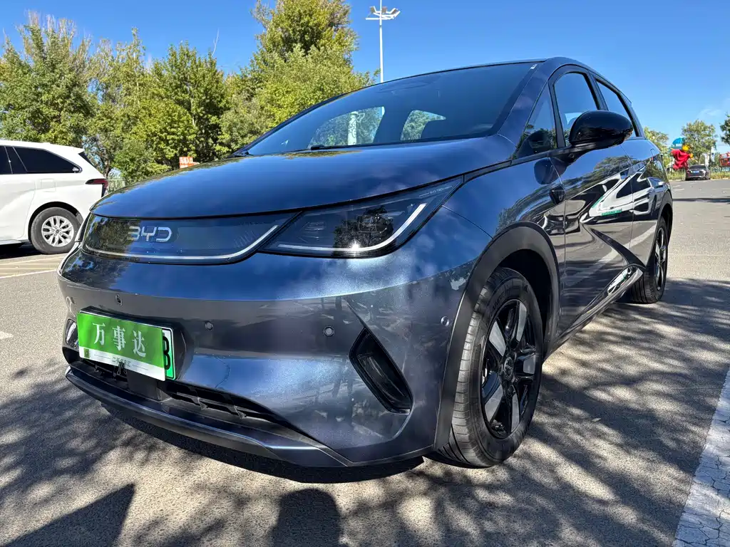 BYD Dolphin — миниатюра 18