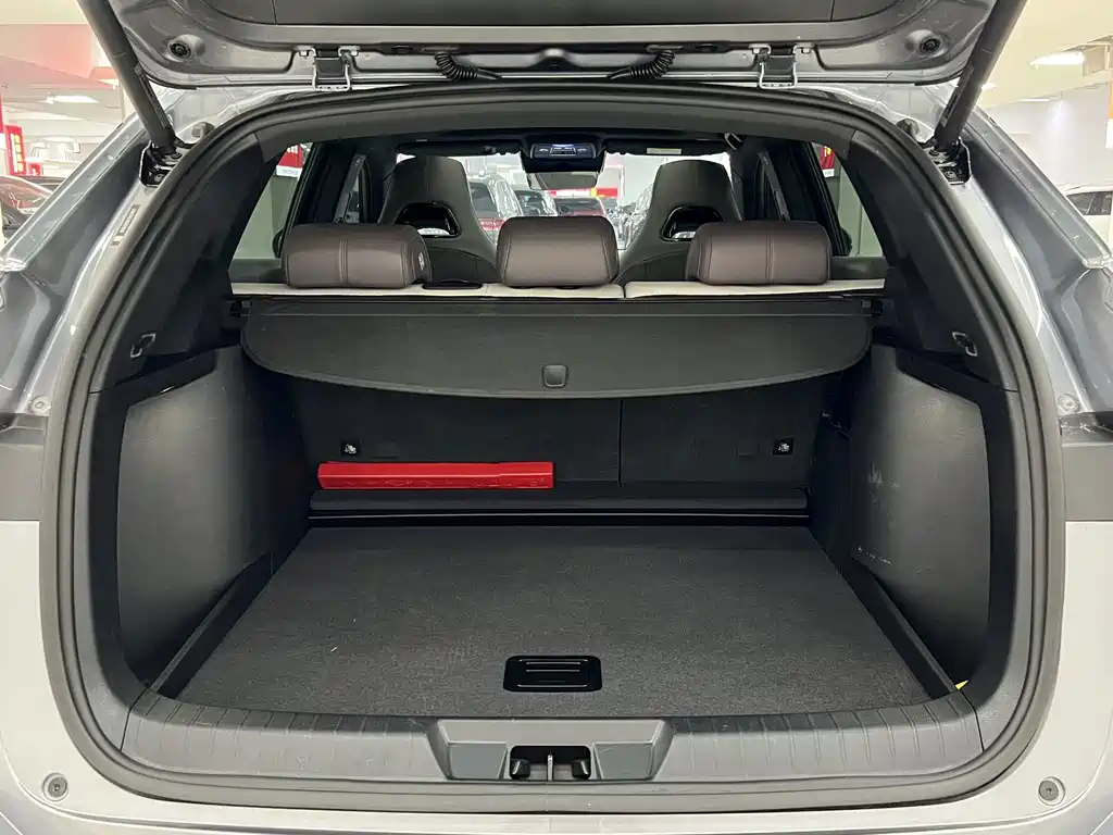BYD PLUS New Energy — миниатюра 13