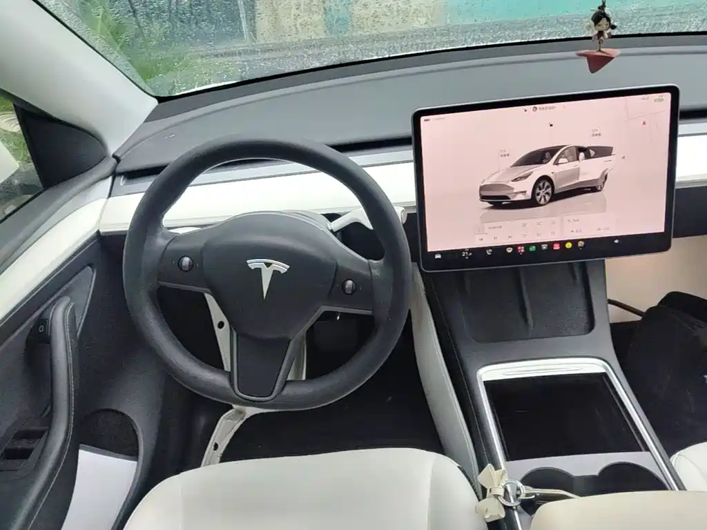 Tesla Model Y — миниатюра 11