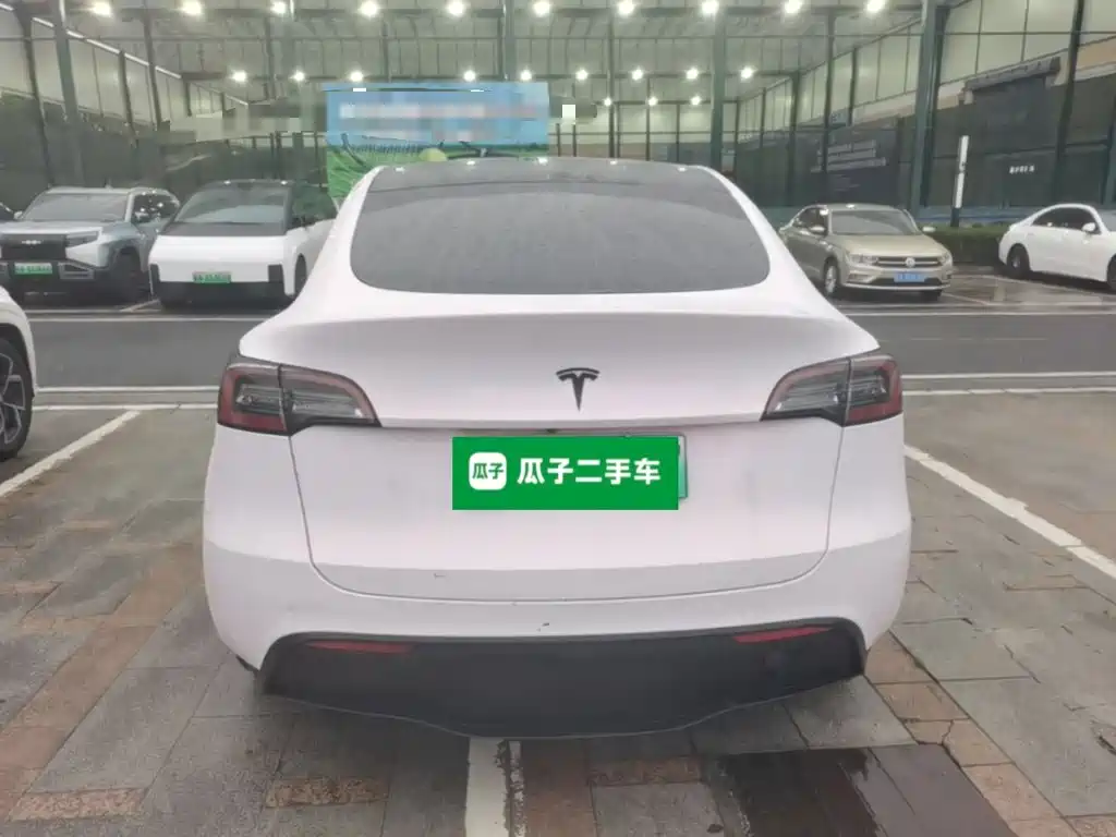 Tesla Model Y — миниатюра 6