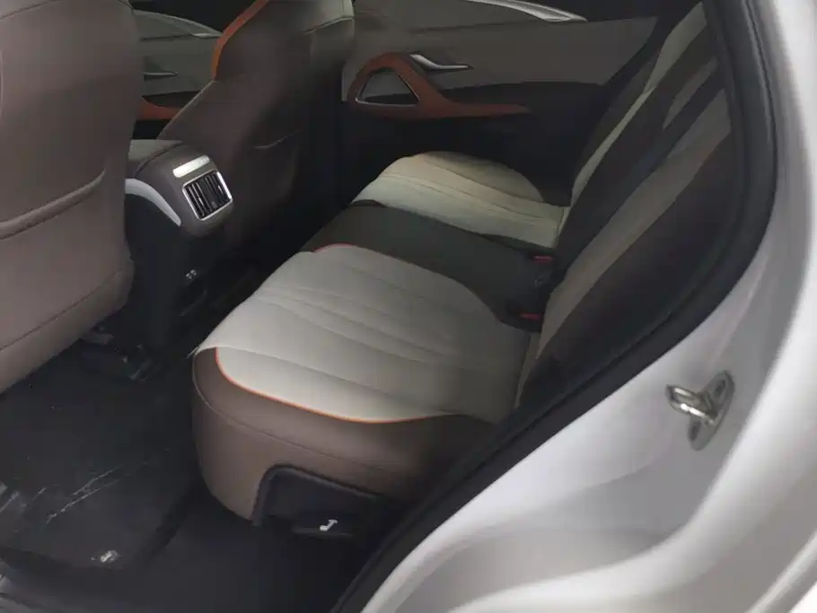 BYD Pro New Energy — миниатюра 11
