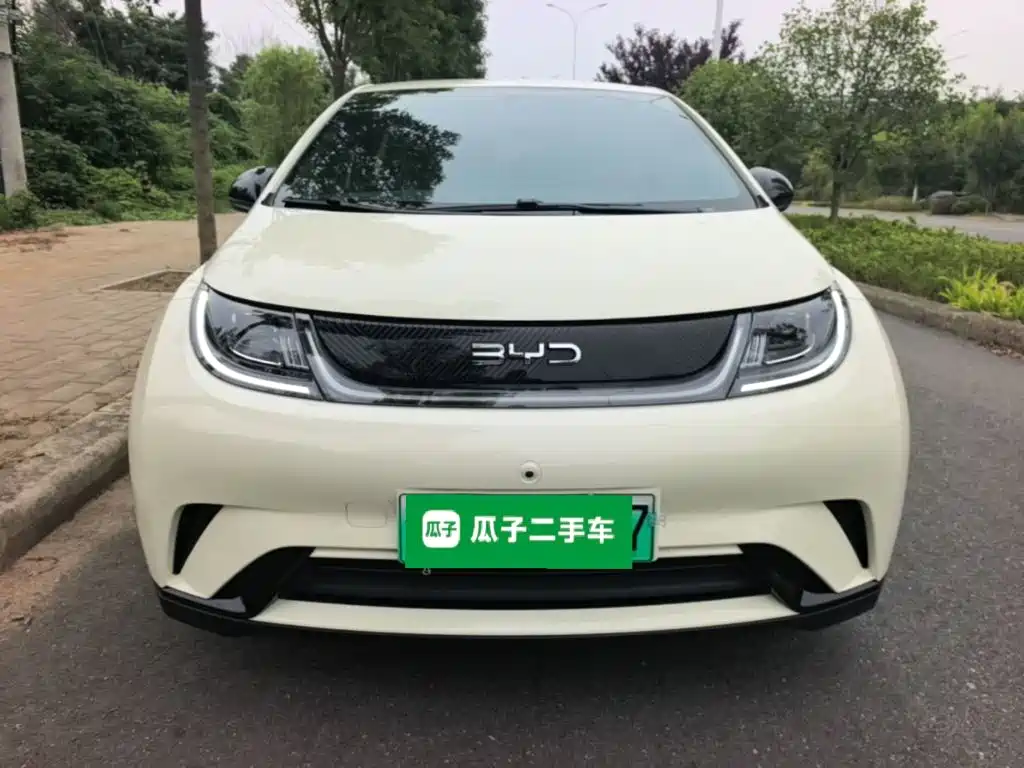 BYD Dolphin — миниатюра 3