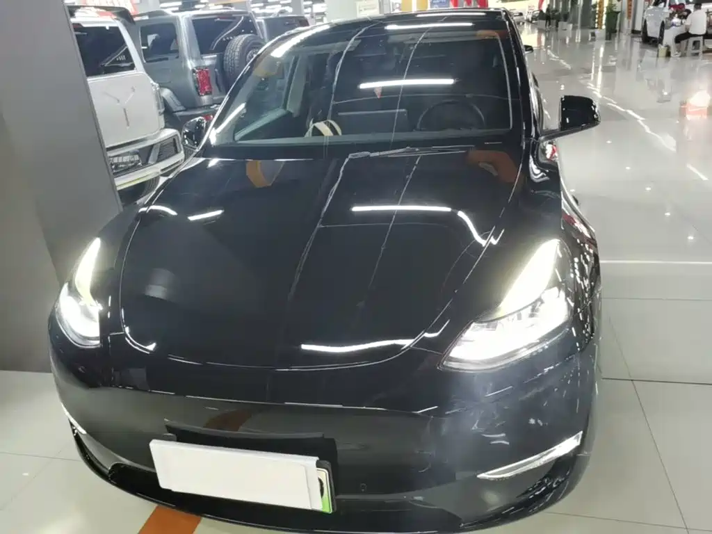 Tesla Model Y — миниатюра 3