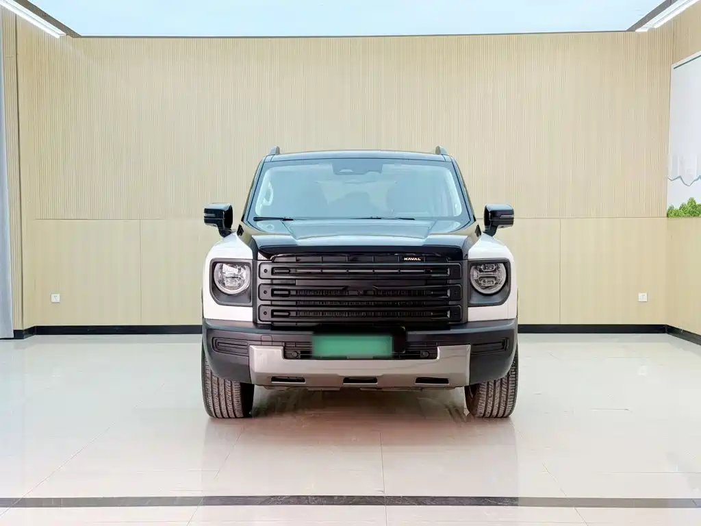 Haval Menglong New Energy — миниатюра 3