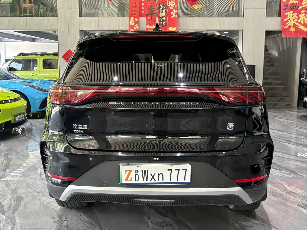 BYD Tang New Energy — миниатюра 33