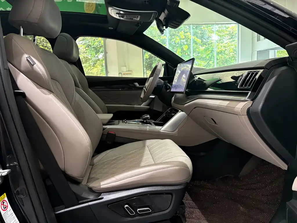 BYD Tang New Energy — миниатюра 23