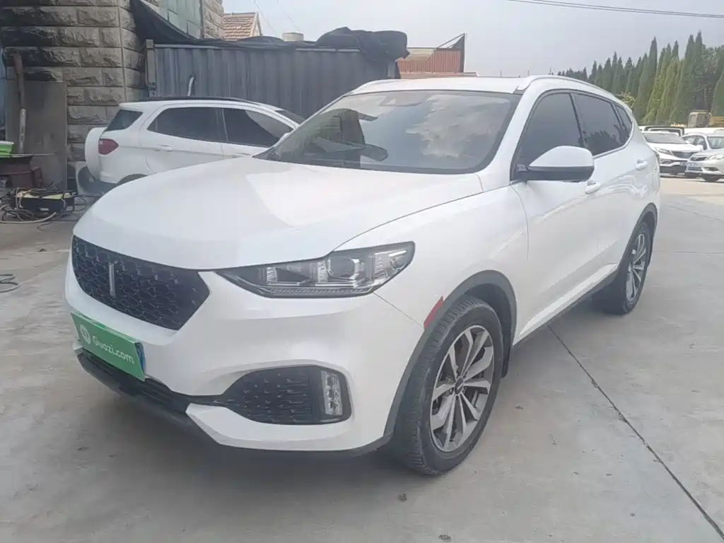 Wey VV6 2018 2.0T 2WD Super Luxury Type China V