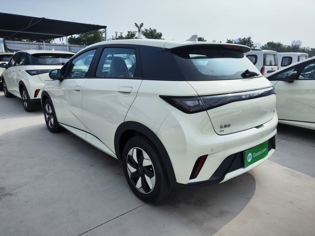 BYD Dolphin 2025 420km Freedom