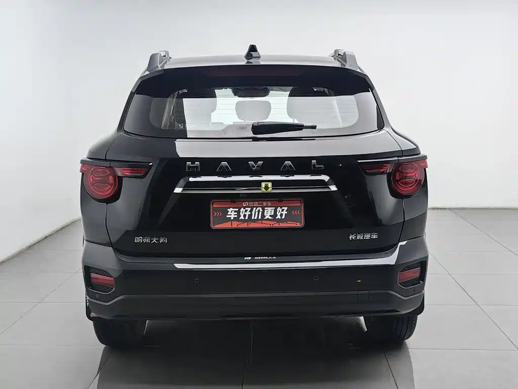 Haval Big Dog PLUS — миниатюра 4