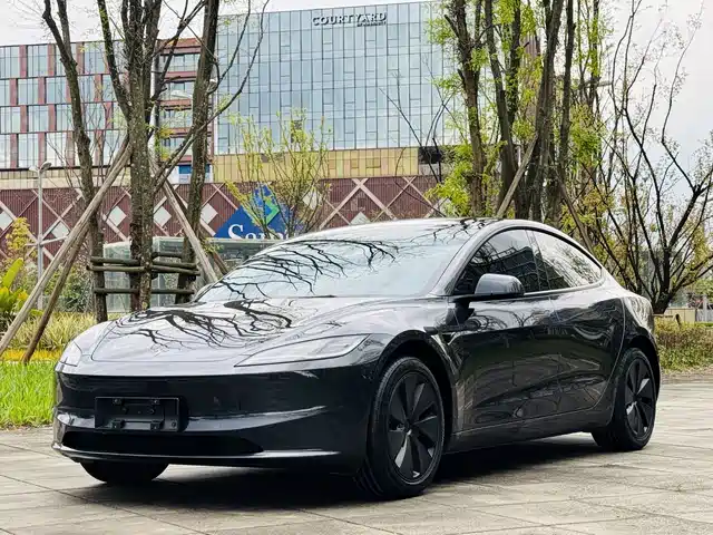 TESLA MODEL 3 2025