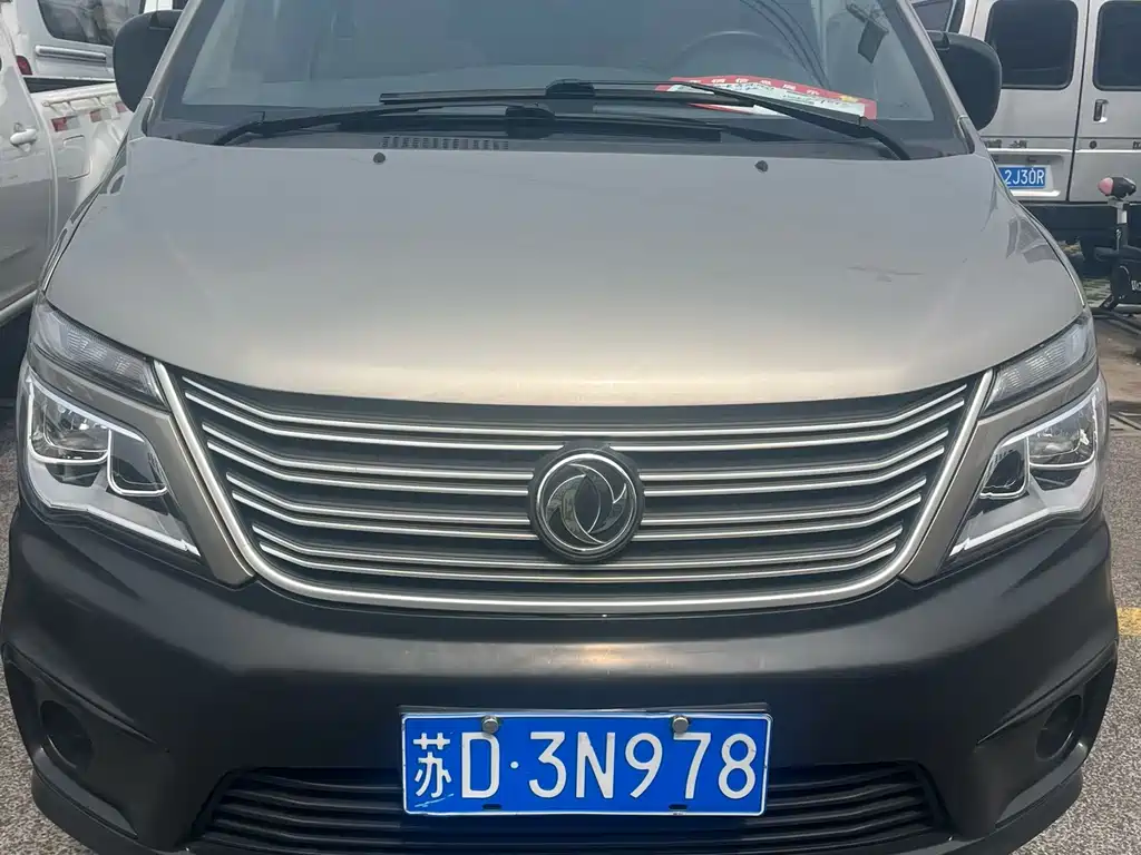 Fengxing Lingzhi 2020